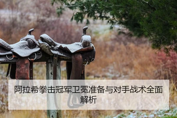 阿拉希拳击冠军卫冕准备与对手战术全面解析 - IM SPORTS