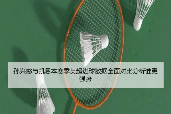 孙兴慜与凯恩本赛季英超进球数据全面对比分析谁更强势 - IM SPORTS